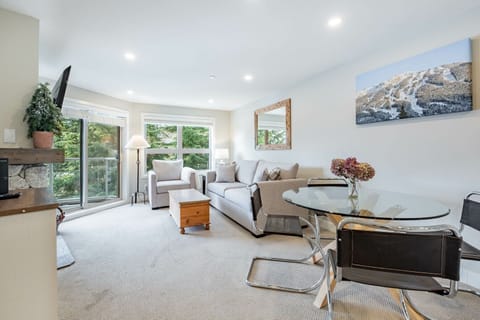 Living area: Pull out sofa