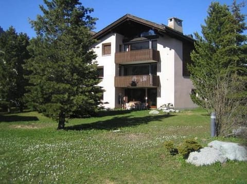 Exterior view summer