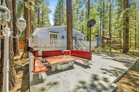 Private outdoor area surrounded by tall pines, perfect for relaxing under the trees after a day of adventure—enjoy peaceful forest views, fresh air, and a truly rejuvenating stay.