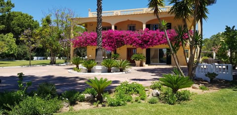 Welcome to Supremevillas - Villa La Quiete!