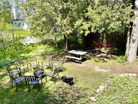 Backyard with firepit, picnic table, and hammock.