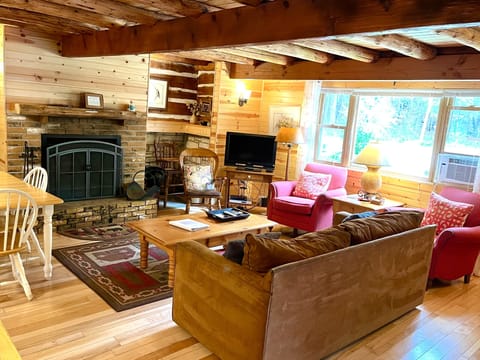 Living room with fireplace