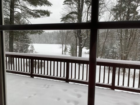 winter view from kitchen
