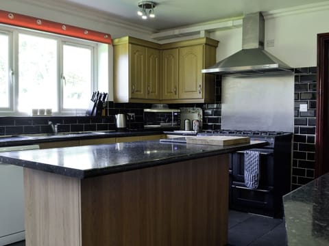 Kitchen | Vijay Gardens, Glanaman, near Llandeilo