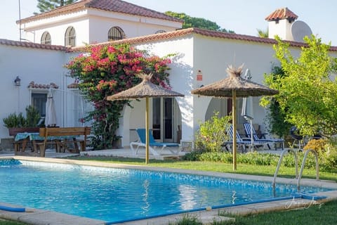 The pool and back porch 