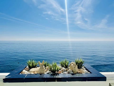 Views vacations