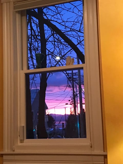 Lake Champlain and NY State’s Adirondack Mountains from the living room. 