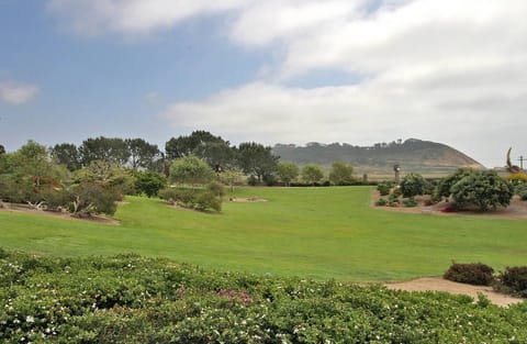 Community park