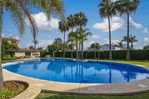 Garden and swimming pool