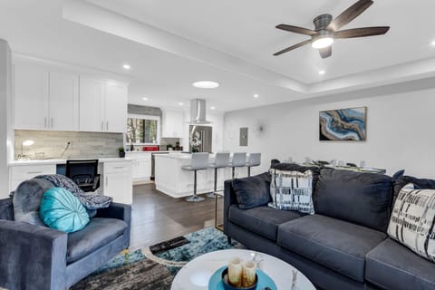 Living Room Area with TV & electric fireplace - Main House