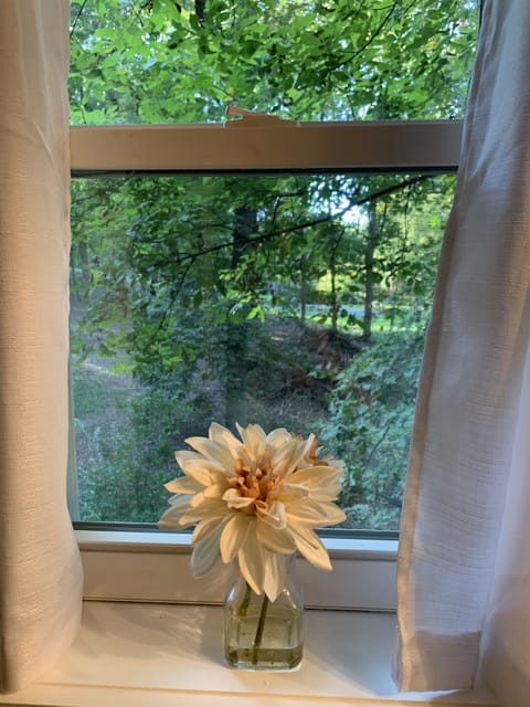 View from upstairs full bath shower only