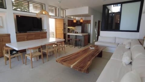 living room has TV and air conditioning