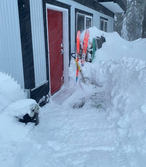 Welcome to Mogul Mansion’s Marten Nest!