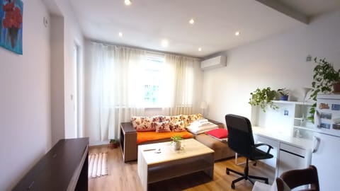 A spacy living room with natural sunlight shining every season