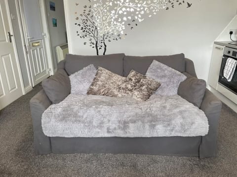 Sofa bed in living room.