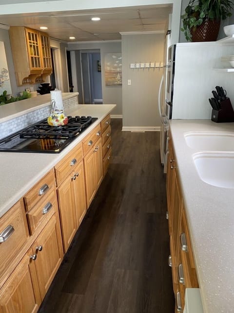 There are four gas burners and two electric for a total of 6 burners on the stove.