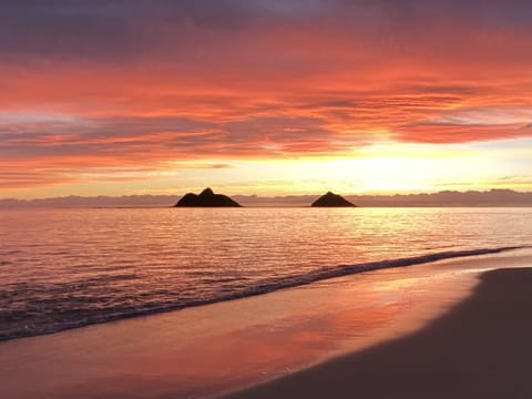 Easy walk to world famous Lanikai Beach. Amazing colors and views 24 hours a day