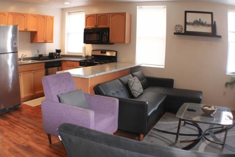 2 Fold Out Couch Sleepers