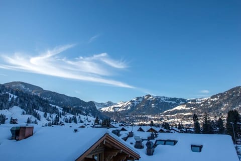 the snow covered town (Winter 1)