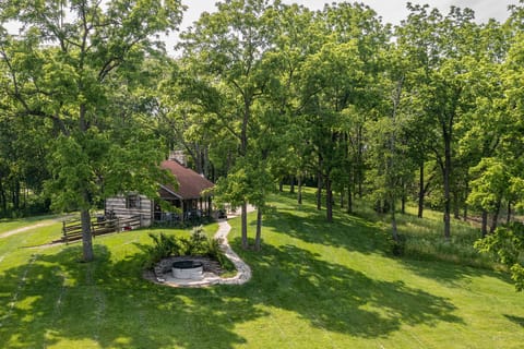 Drone view of back yard.