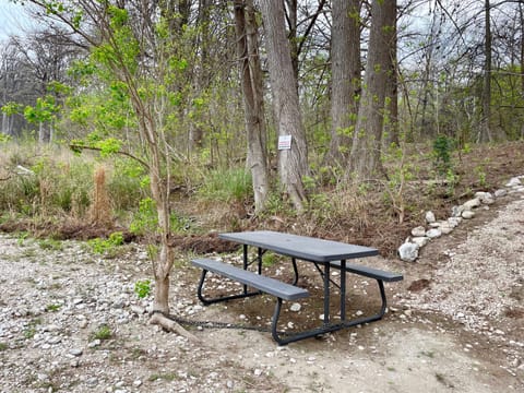 Deep Waters - Sit by the river and watch the world float by.