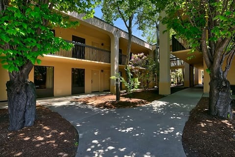 Stroll through shaded walkways surrounded by calming greenery.