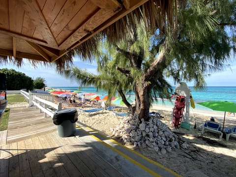 View from Home Sweet Home's Tiki Hut
