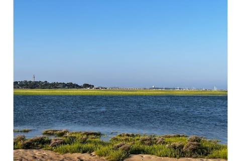 View from the dunes.