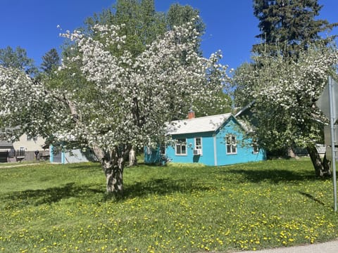 Adorable almost tiny house in the best of locations! 