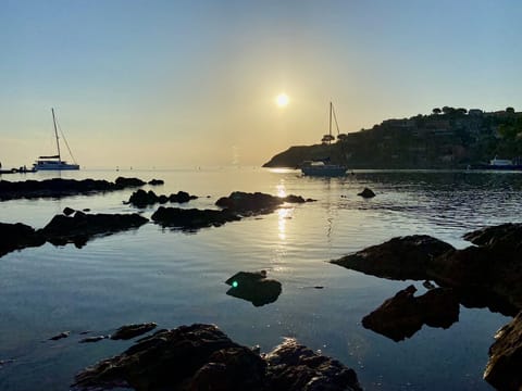 Collioure seafront, 3 minute walk from the house 