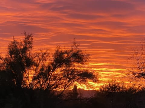Last Tucson sunset of 2023.