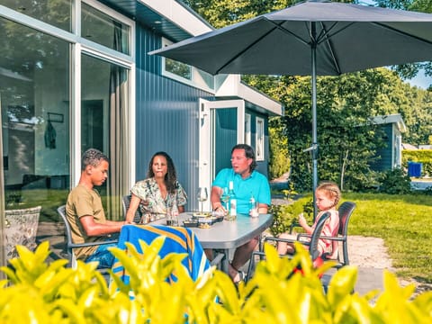 Plant, Botany, Leaf, Table, Shade, Yellow, Chair, Tree, Leisure, Outdoor Furniture