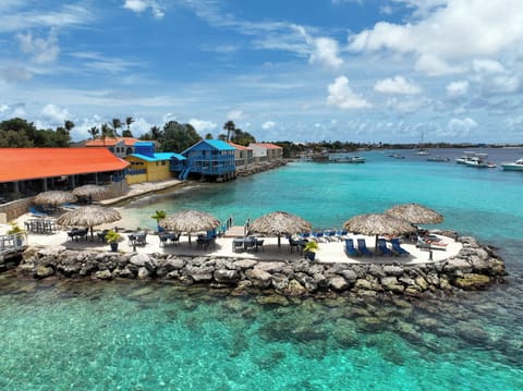 Savor panoramic coastline views with loungers over the sea.