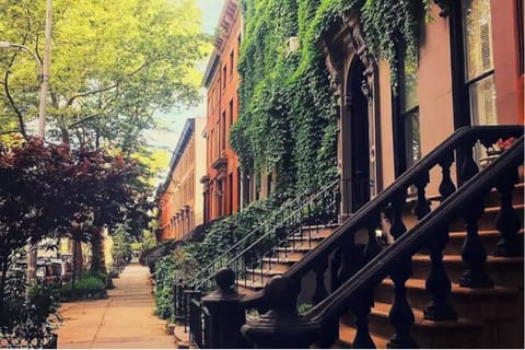 The beautiful neighborhood
