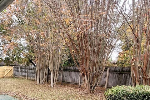 serene fenced in backyard