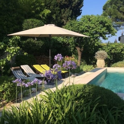 pool side with sun lounges