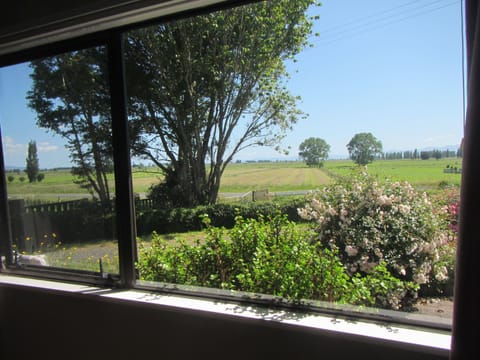 Windows are screened