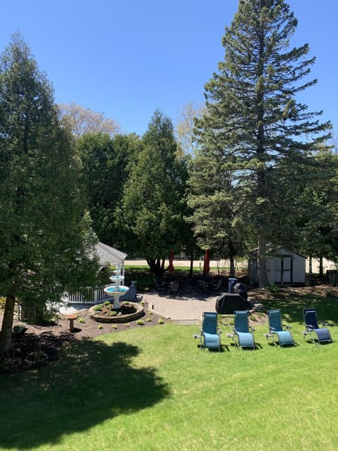 Plush and green views from the patio in spring and summer