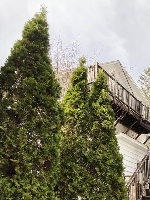 Romantic sky loft with steam shower and giant tub. Breweries and hiking nearby Apartment in Phoenicia