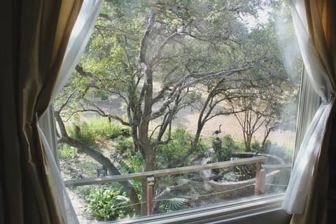 View from guest bedroom