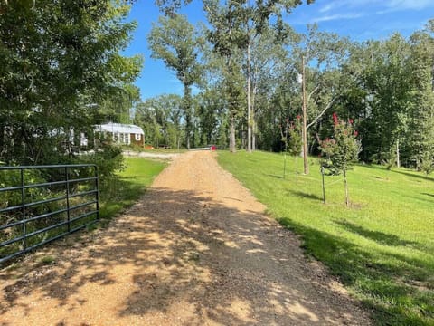 Driveway into the property