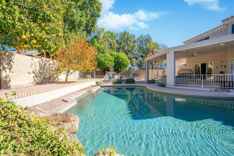 Sparkling pool!