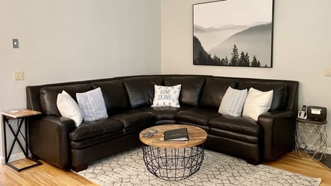 Couch, Furniture, Living Room, Indoors, Room