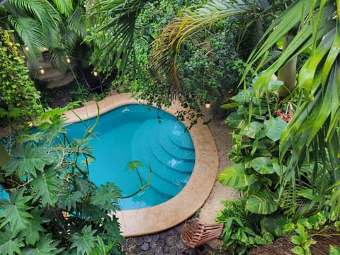 Birds-eye pool view