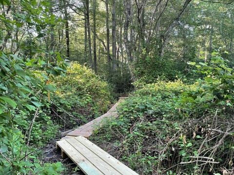 Bonnet Walking Trail is peaceful and tranquil.