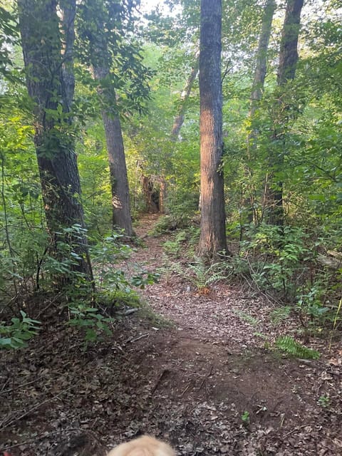 Bonnet Walking Trail for some hiking adventures.