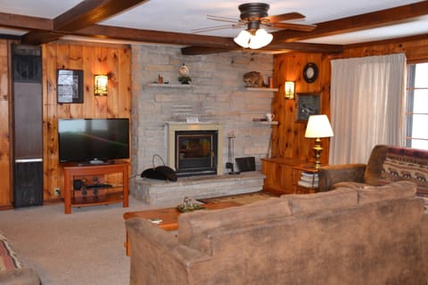 Wood Burning Fireplace