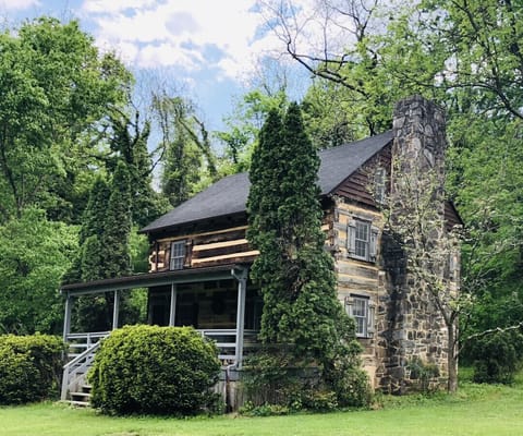Buffalo Bill cabin in summer