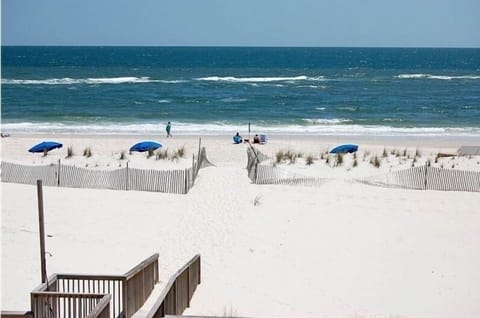 Beach Front Property