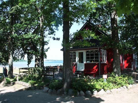 Immediate Surroundings [summer] (<1 km)